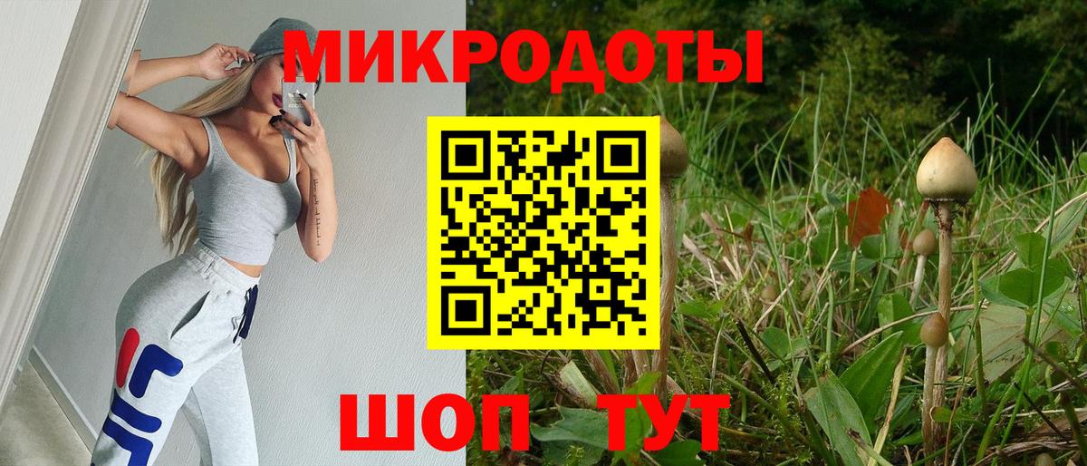 Псилоцибиновые грибы мухоморы Кубинка