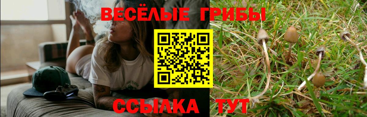 Галлюциногенные грибы Magic Shrooms  Вход с VPN  Кубинка 